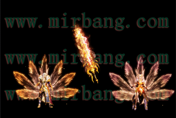 6.gif