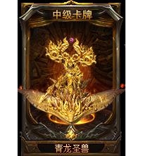 一套卡牌，用途广