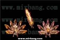 -传奇帮-时装素材类目独家分享-独家套装时装类-0819-06